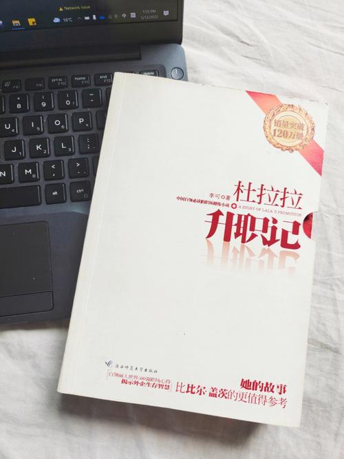 杜拉拉升职记在线阅读 | 职场晋升指南与经典故事