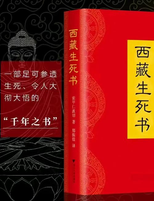 白艳妮全文阅读全集在线阅读_无弹窗大结局