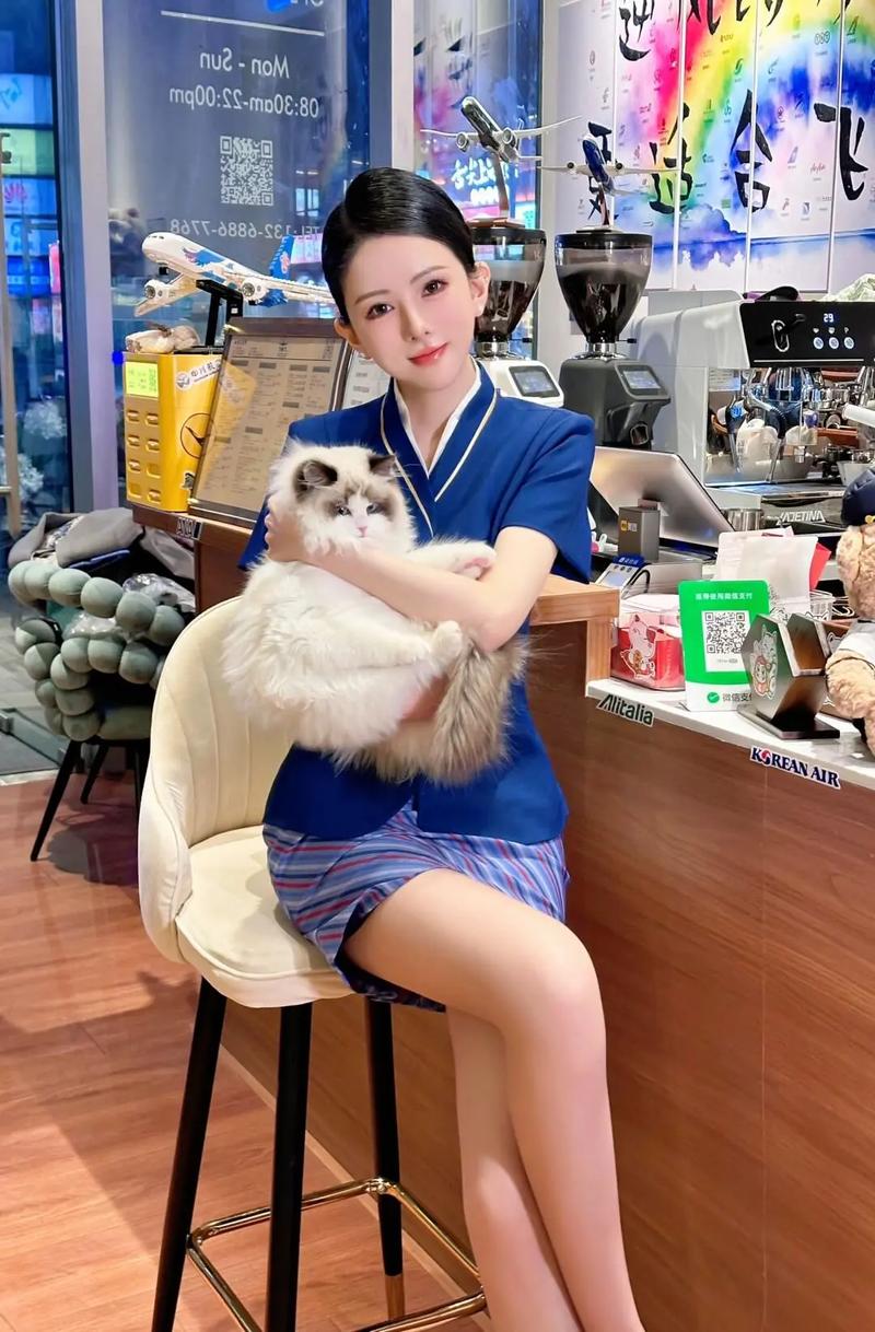 蓝天航空的空姐在线阅读|完整版小说推荐