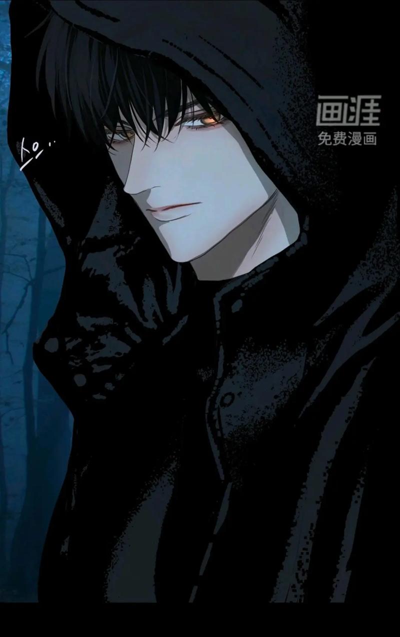 画涯官网 | 免费在线漫画阅读平台,海量国漫日漫随心看