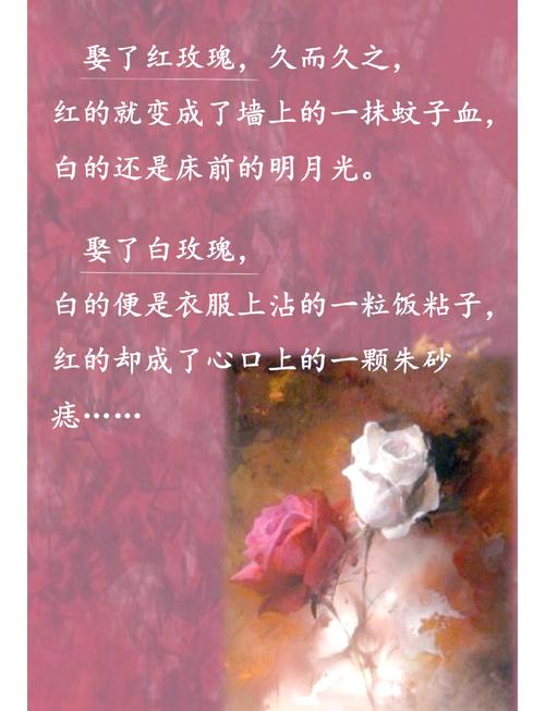 绝世武魂在线阅读-热血玄幻逆袭之路