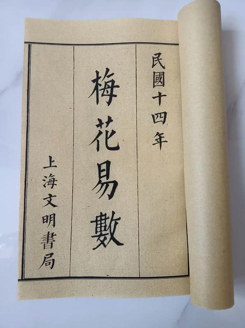 狡猾的风水相士全文在线阅读 - 精彩风水相术小说