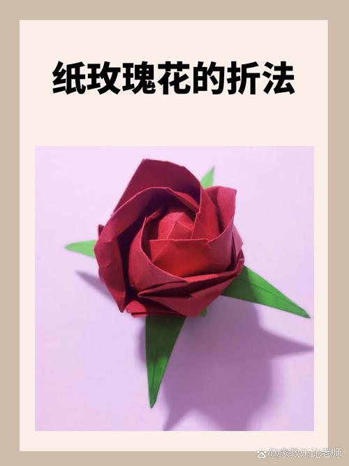 纸玫瑰最新章节全文免费在线阅读_纸玫瑰小说完整版