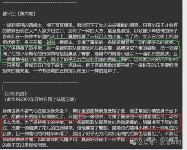 少扫白洁完整版在线阅读｜全文无删减