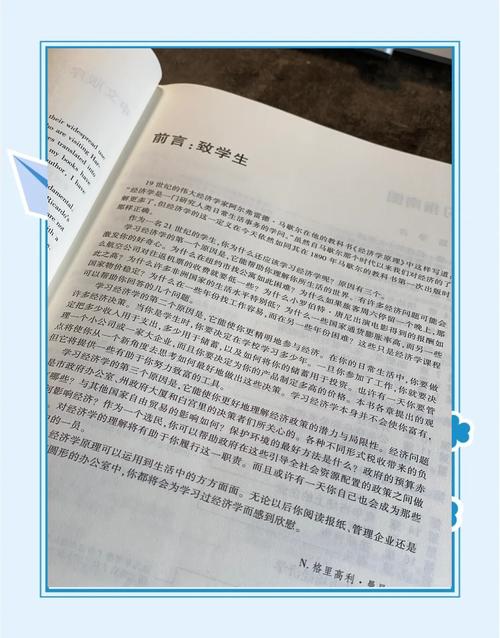 大约是爱小说全文在线阅读|经典言情小说推荐