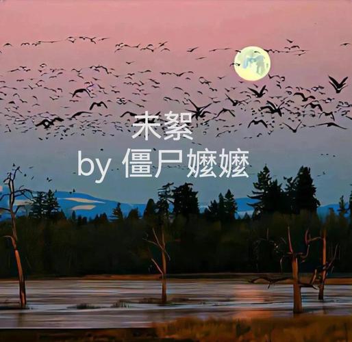 错嫁替婚总裁全文免费阅读，在线阅读完整版无删减