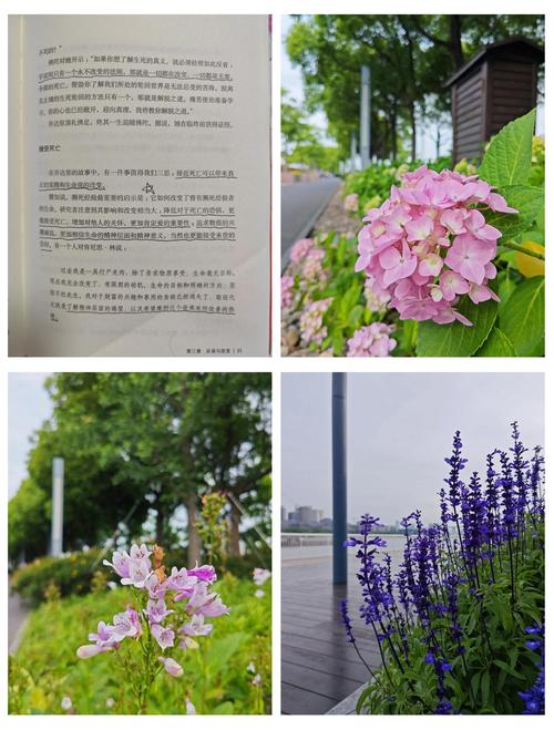 别让不好意思害了你在线阅读|克服怯懦心理的自我提升指南