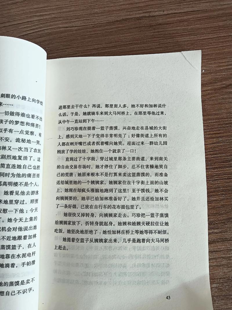 路遥《人生》全文在线阅读 | 高加林刘巧珍命运经典