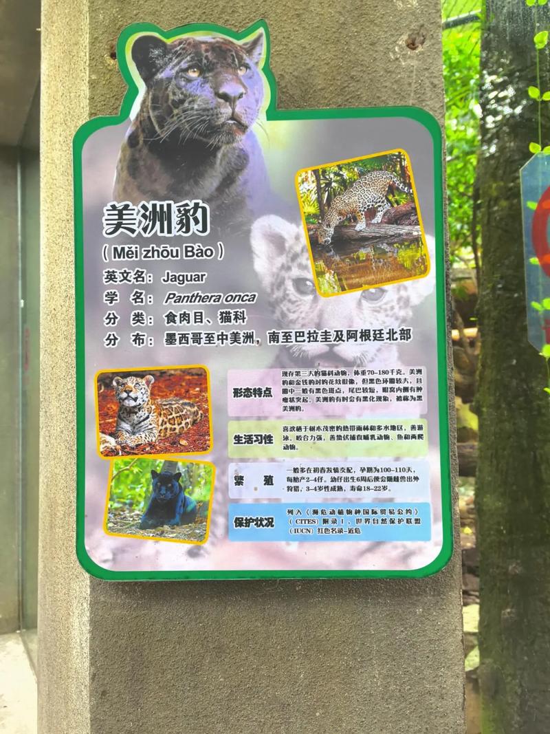少扫白洁完整版在线阅读｜全文无删减