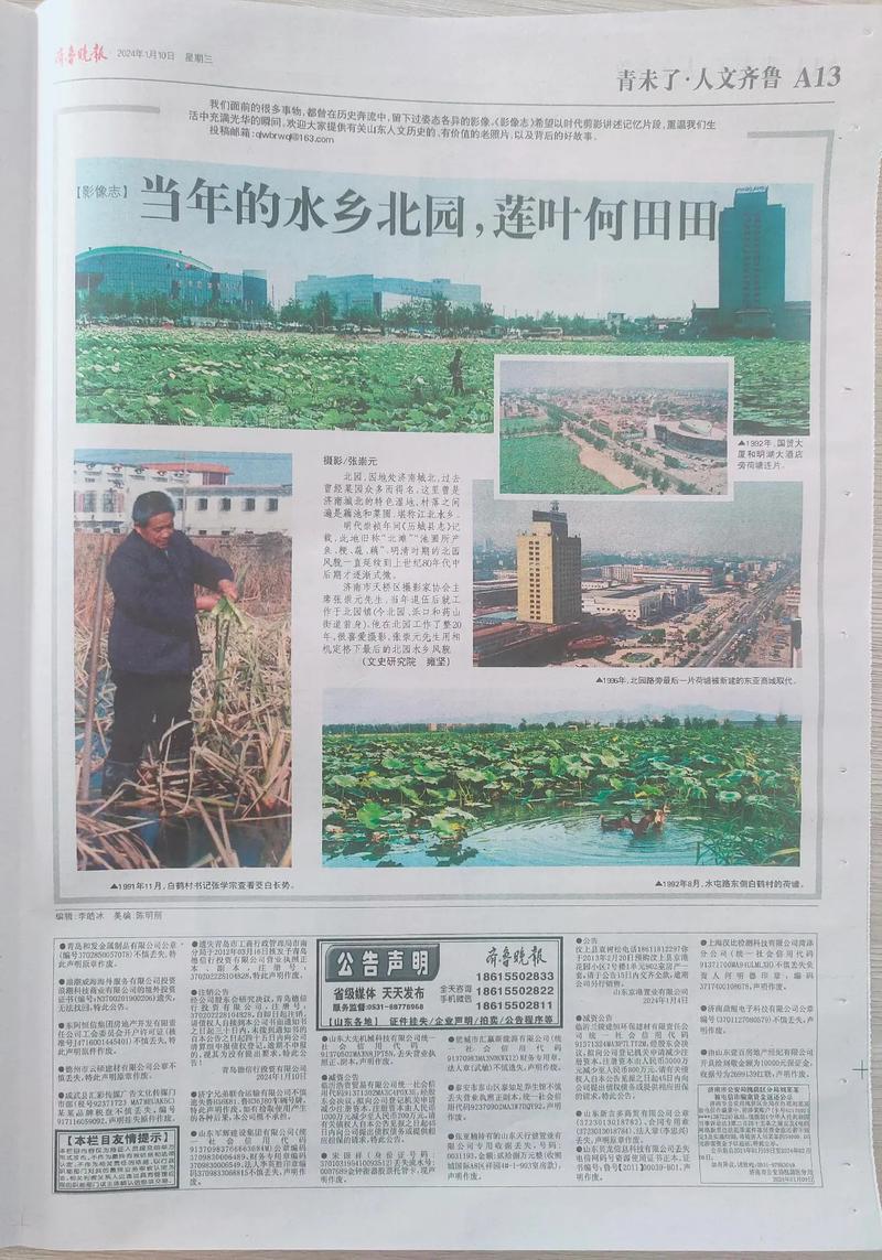 我楼上的女神在线无弹窗阅读 - 最新章节全集免费阅读