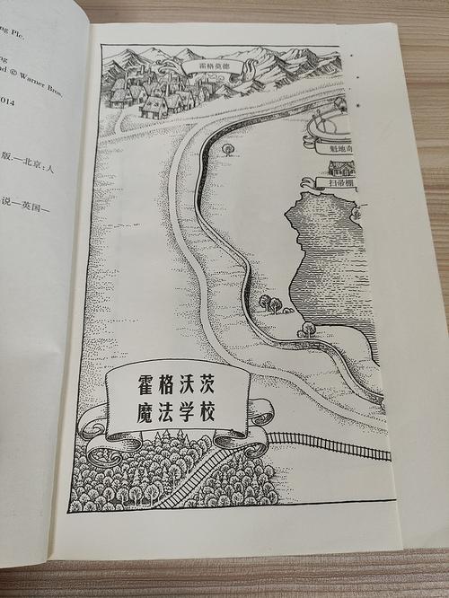 夫人每天都在线打脸免费阅读