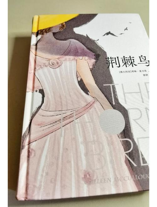 简爱在线阅读 | 夏洛蒂·勃朗特经典爱情小说全文