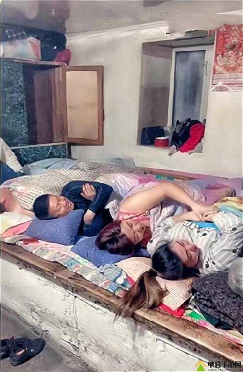 东北大炕全文免费在线阅读 | 经典乡土小说