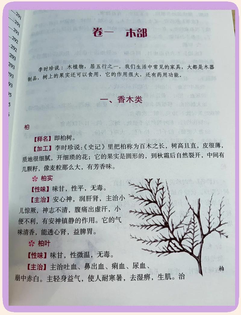 《本草纲目》在线阅读|完整版原文注释,中医经典古籍快速查询