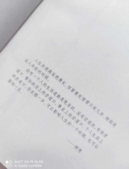 路遥《人生》全文在线阅读 - 经典文学名著免费阅读