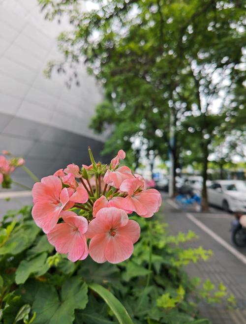 平凡女人的春天在线阅读 - 温暖治愈系女性成长小说