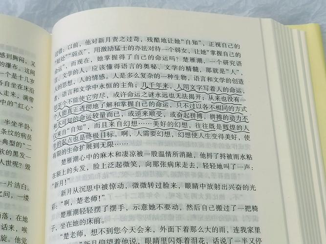 你当像鸟飞往你的山在线阅读:逃离原生家庭,寻找自我救赎