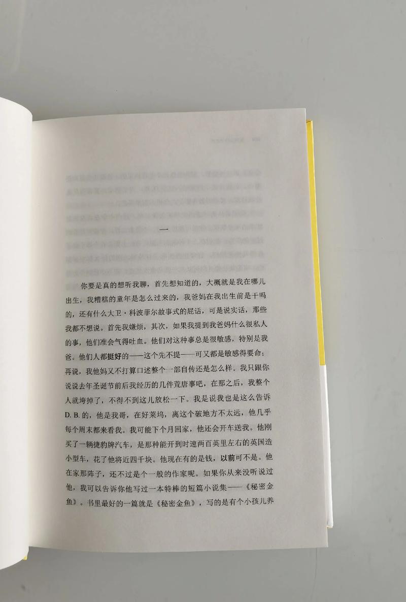 《麦田里的守望者》在线阅读 | 经典英文原著