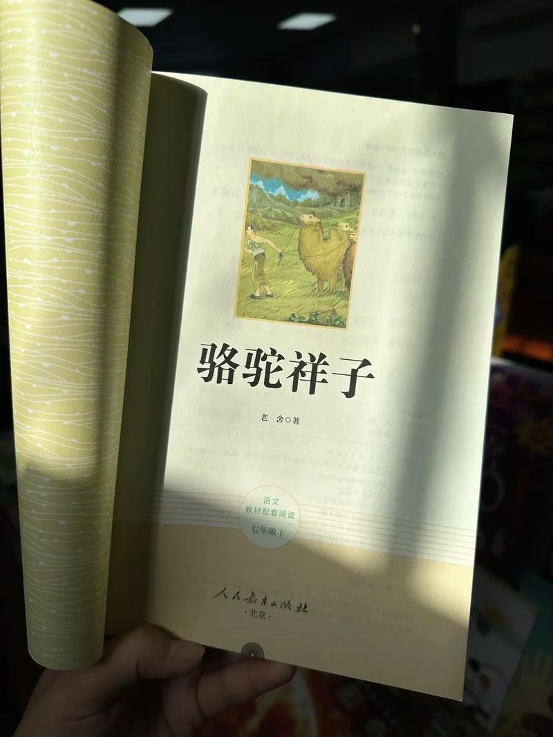 在线小说阅读：海量热门小说免费在线阅读，随时随地畅享阅读
