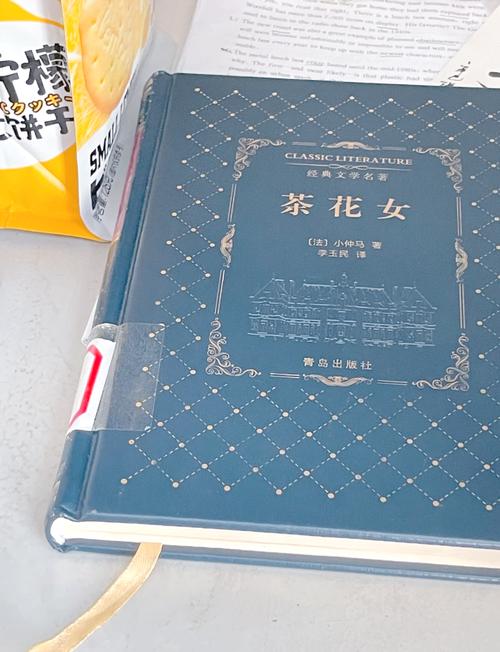 公车强女小说在线阅读的相关介绍