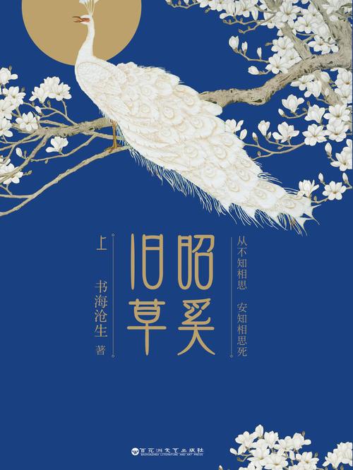 昭奚旧草全文在线阅读 | 经典古风小说免费阅读
