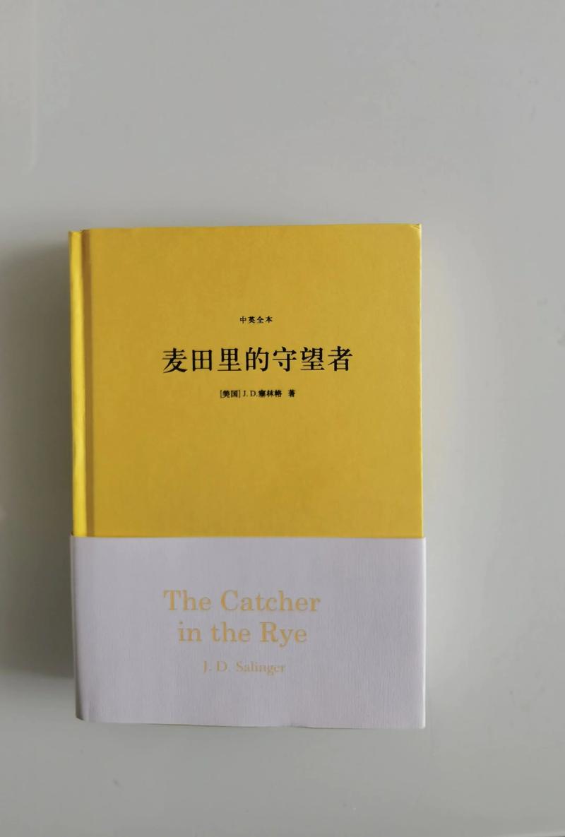 阿宾全文阅读在线78章-阿宾小说全集无删减版