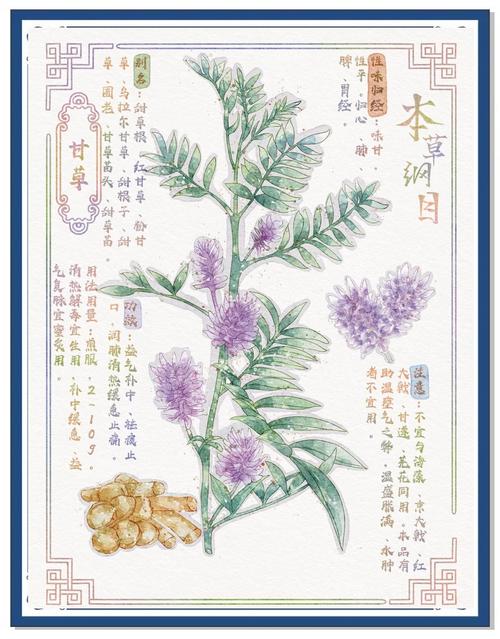 《本草纲目》在线阅读｜中医药经典古籍全文检索