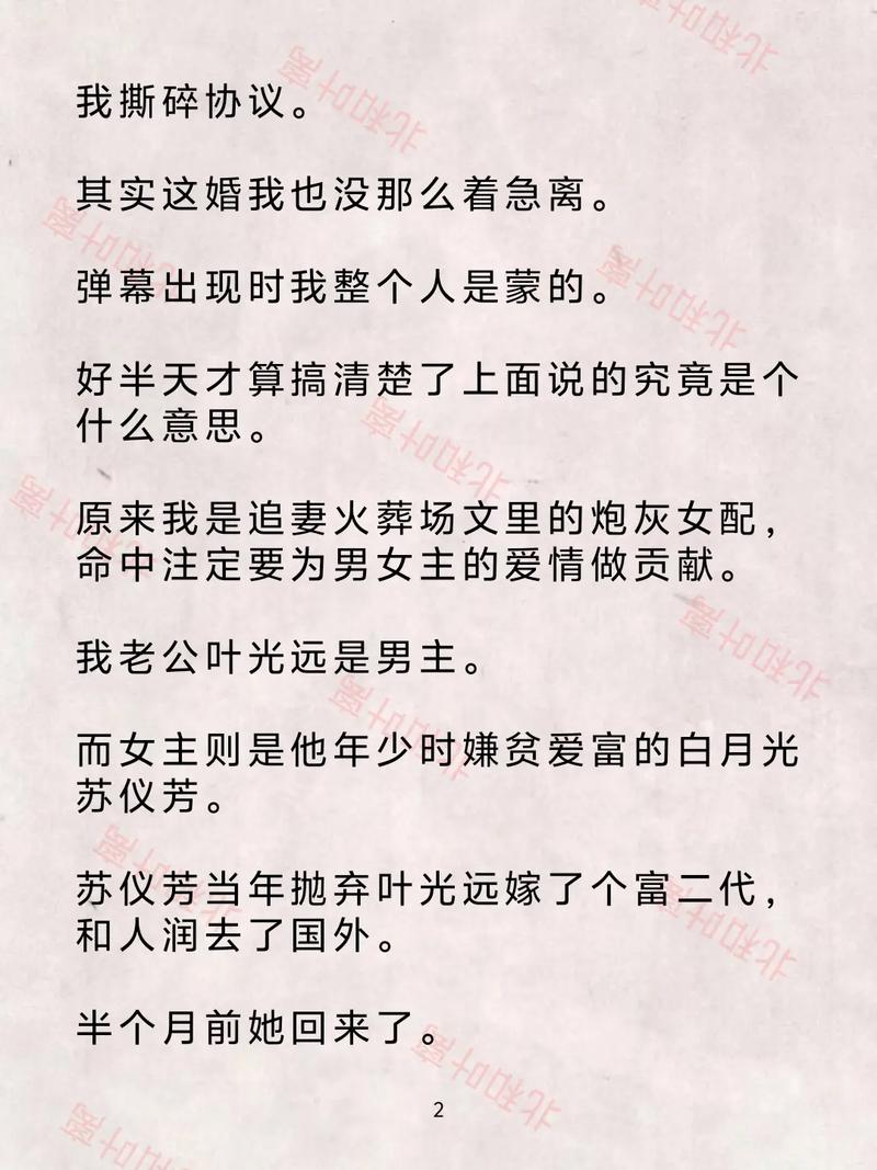 八点半的星光全文在线阅读 | 热门小说推荐